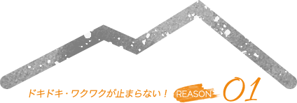 ドキドキ・ワクワクが止まらない！ REASON 01