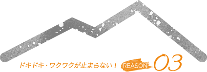 ドキドキ・ワクワクが止まらない！ REASON 03