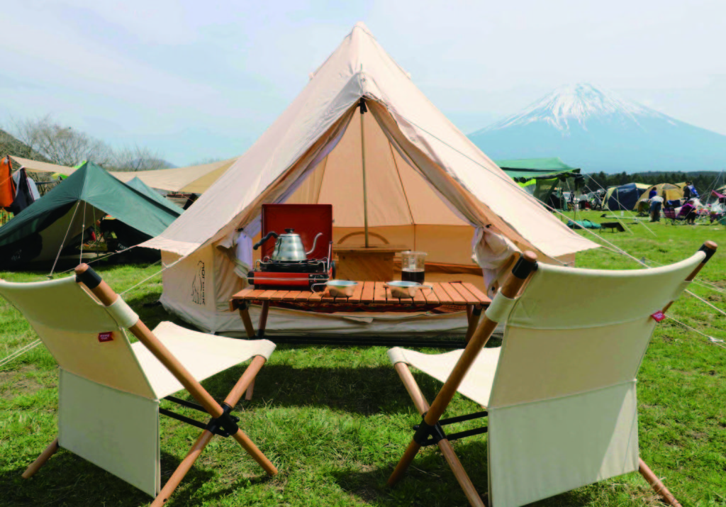 $fields['main_image']['alt']