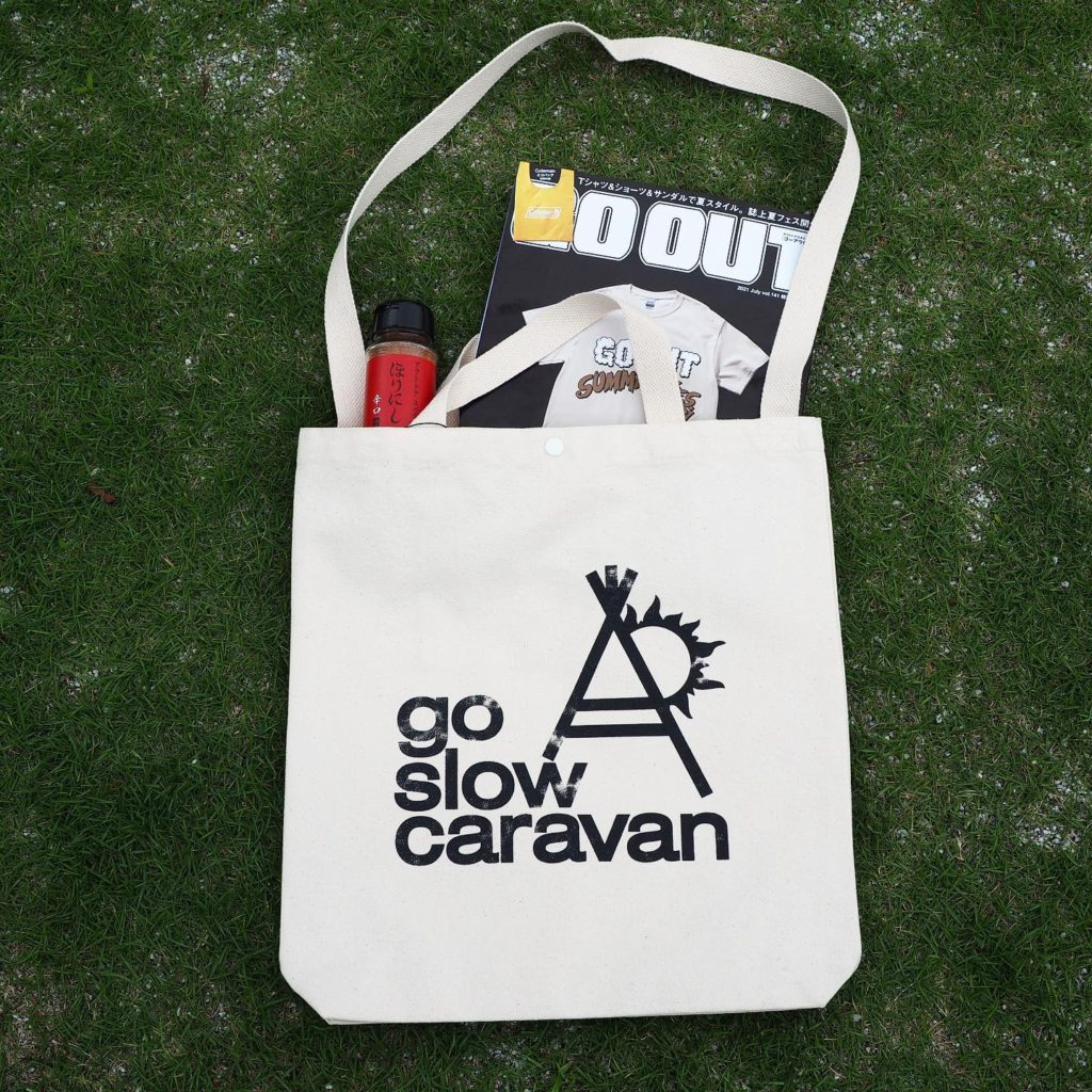 $fields['main_image']['alt']